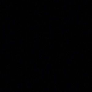 Meet your Posher, Daisha